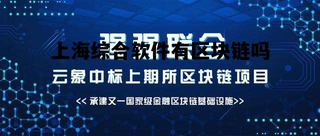 上海综合软件有区块链吗，上海综合软件有区块链吗知乎